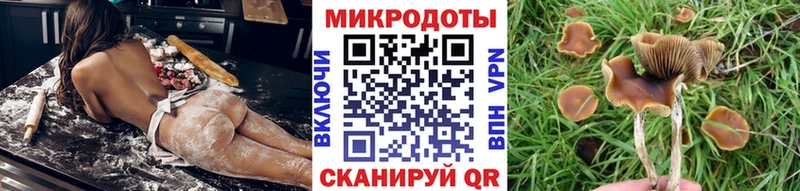 где купить наркоту  Урень  Галлюциногенные грибы мицелий 